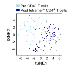 Graphic of Single-cell Immune Profiling and TCR Repertoire Analysis