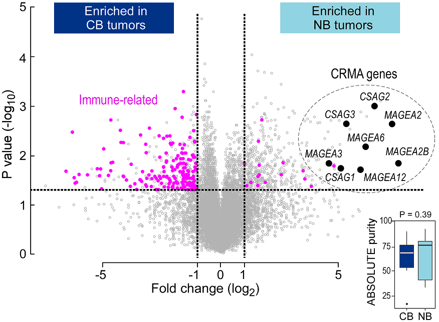 immunogenomic_graph1