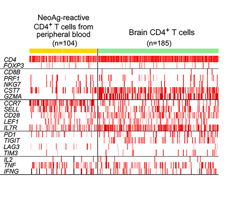 immunogenomic_graph2