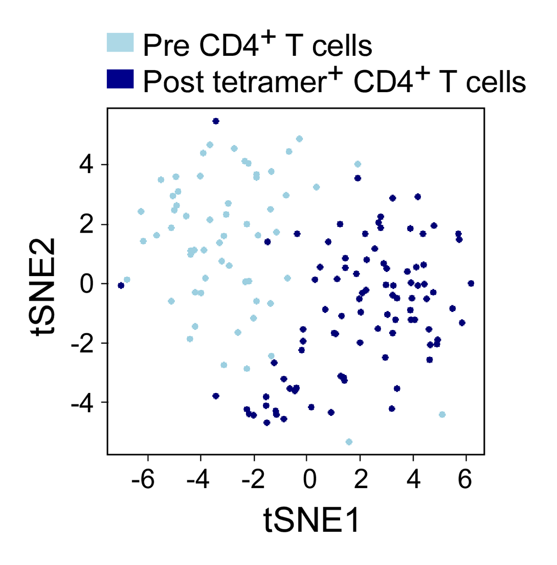 singlecell_graph1