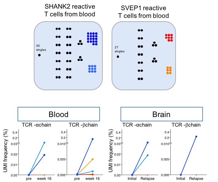 singlecell_graph2